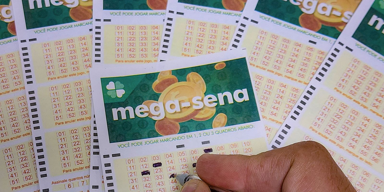 Concurso 2.971: Mega-Sena acumula e prêmio chega a R$ 55 milhões