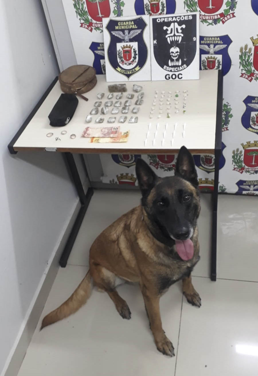 Guarda Municipal intensifica combate ao tráfico de drogas com prisão de 39 suspeitos