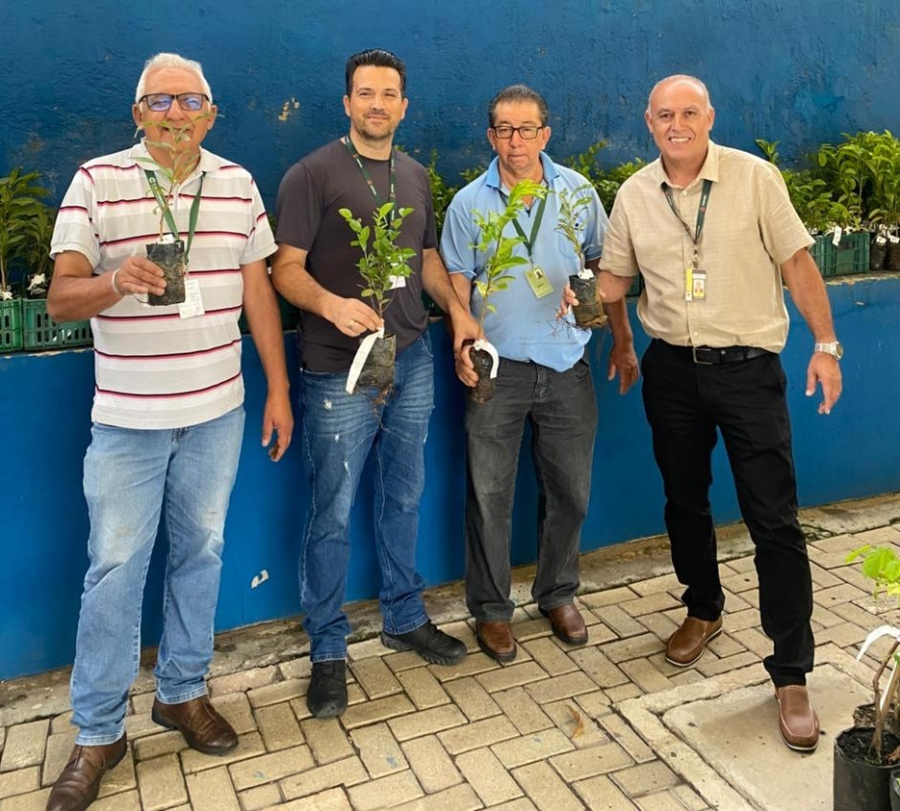 Prefeitura entrega 1.000 mudas de árvores na Regional do Bairro Novo amanhã 26/02/2026