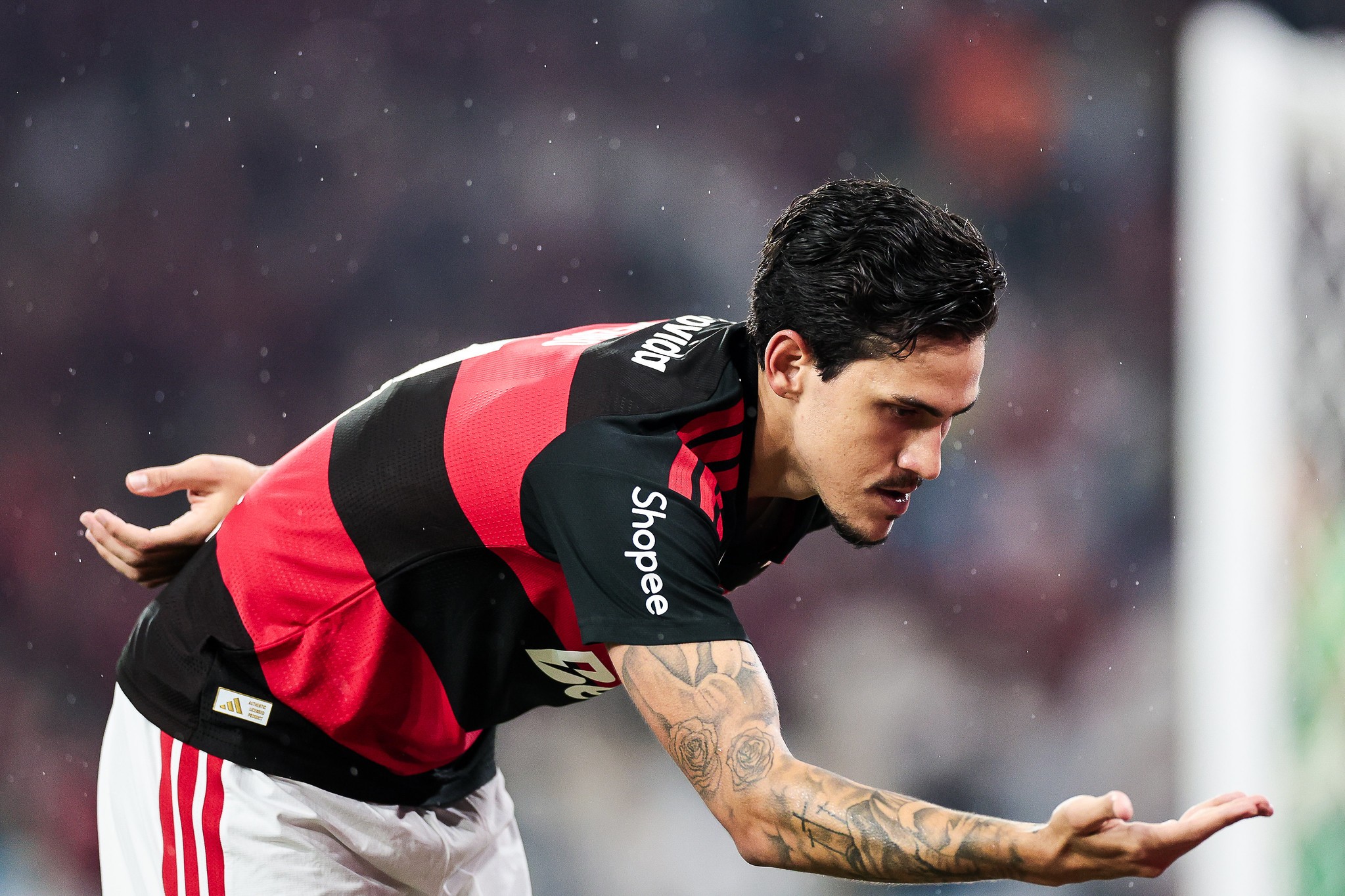 Pedro pode ultrapassar Gabigol e se aproximar do top-5 da artilharia histórica do Flamengo; veja lista