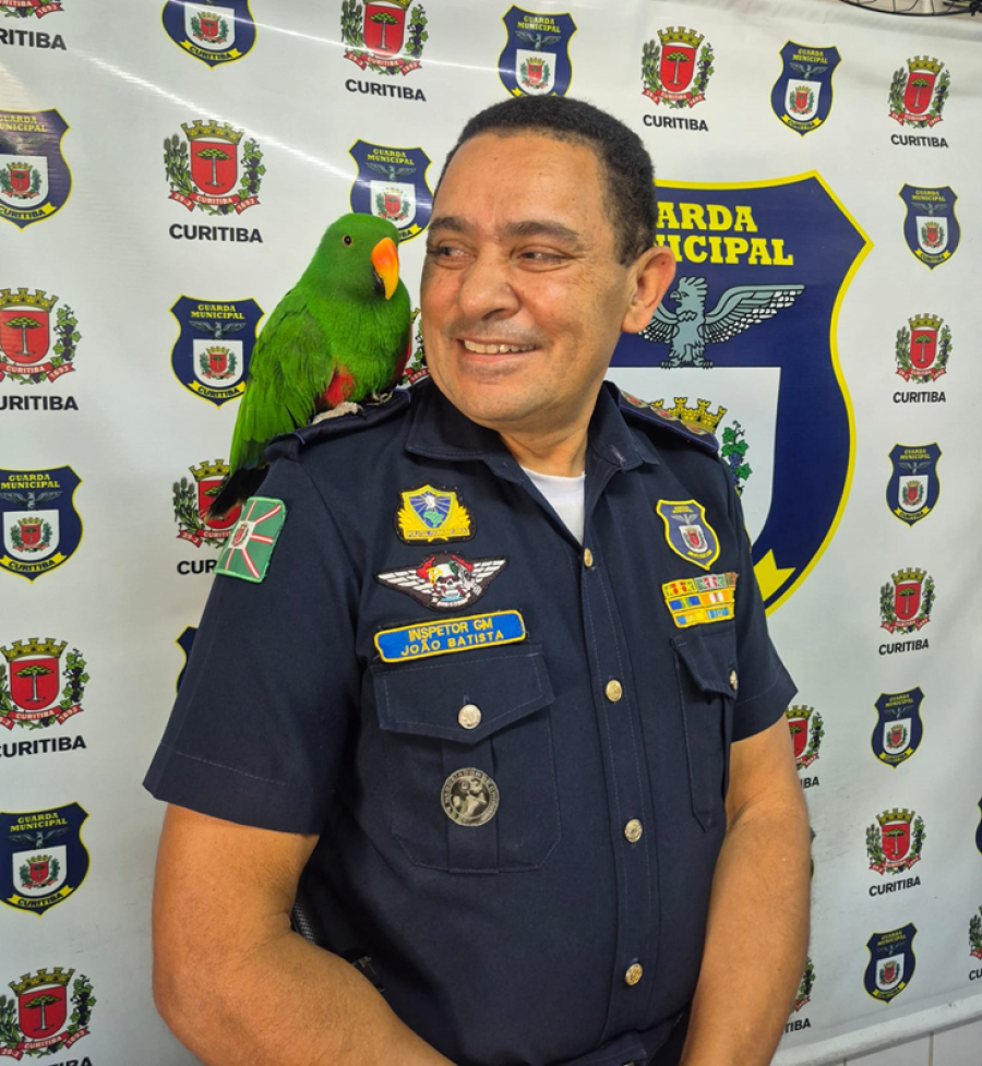 Guarda Municipal de Curitiba resgata papagaio no Sítio Cercado